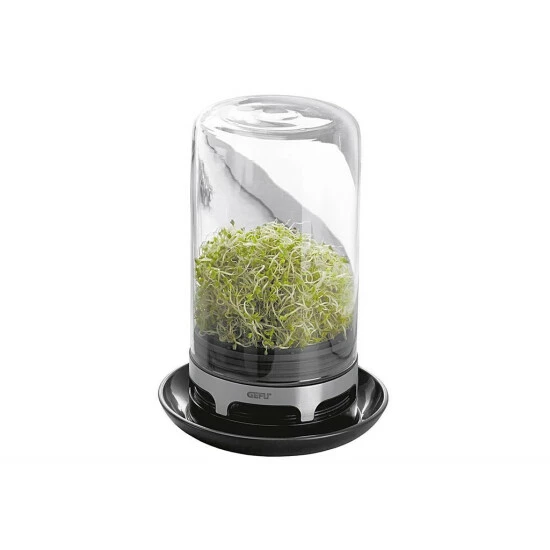 Schlussverkauf 😍 Gefu Sprossenglas BIVITA 18910 🥰 – Bild 7