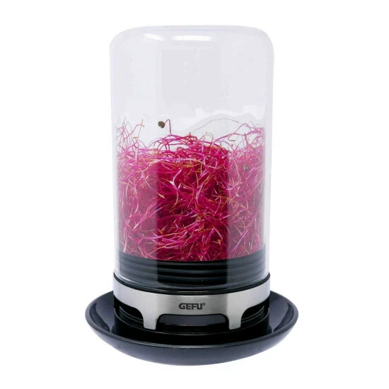 Schlussverkauf 😍 Gefu Sprossenglas BIVITA 18910 🥰 – Bild 12