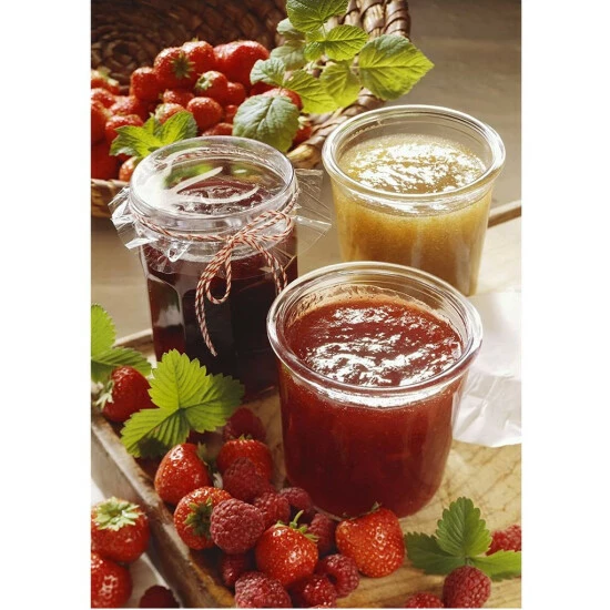 Brandneu 😉 Gefu 24200 Passiergerät Original Flotte Lotte 🔥 – Bild 4